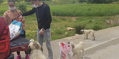 CAN DOSTLARINI BESLEDİLER