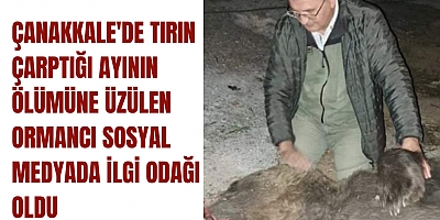 Çanakkale'de tırın çarptığı ayının ölümüne üzülen ormancı sosyal medyada ilgi odağı oldu