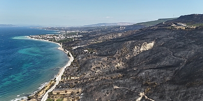 Çanakkale'de yangından geriye bu acı tablo kaldı