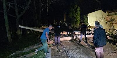 Cerrah Mahallesi’nde Devrilen Kuru Ağaçlar Yolu Trafiğe Kapattı