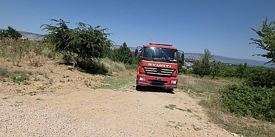 Cerrah Mahallesi’nde Orman Yangını Korkuttu