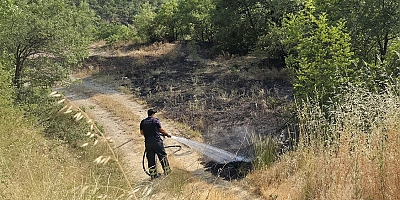 CERRAH MAHALLESİ’NDE ORMANLIK ALANDA ÇIKAN YANGIN KISA SÜREDE SÖNDÜRÜLDÜ