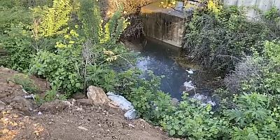 Cerrah Mahallesi’ndeki Su Birikintisi Tehlike Saçıyor