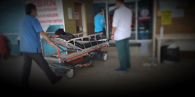 Ceviz ağacından çim biçme makinesinin üzerine düşen kişi yaralandı