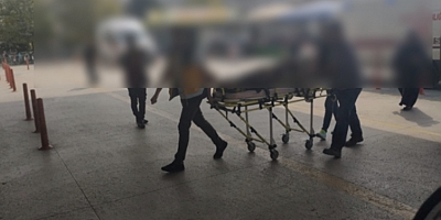 CEVİZ AĞACINDAN DÜŞEN ADAM AĞIR YARALANDI