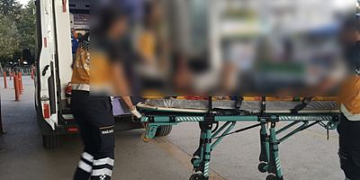 CEVİZ AĞACINDAN DÜŞTÜ