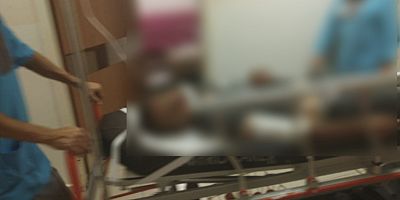 CEVİZ AĞACINDAN DÜŞTÜ