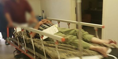 CEVİZ TOPLARKEN DÜŞTÜ