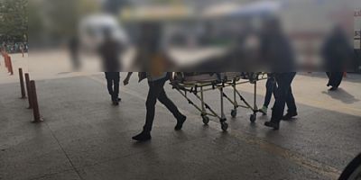 CEVİZDEN DÜŞEN ADAM HAYATINI KAYBETTİ