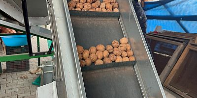 Cevizle yaşam şartları değişen köyde İstanbullular da bahçe kuruyor