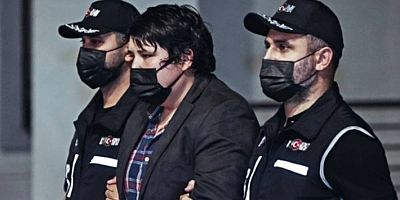 Çiftlik Bank vurguncusu Mehmet Aydın'ın ifadesi ortaya çıktı