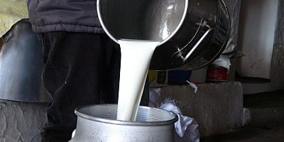 Çiğ süt fiyatları belli