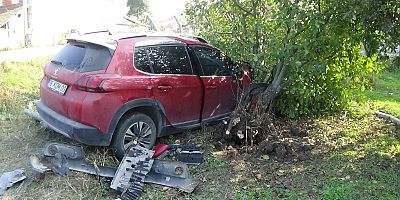 CiP TARLAYA UÇTU 3 KiŞi YARALANDI