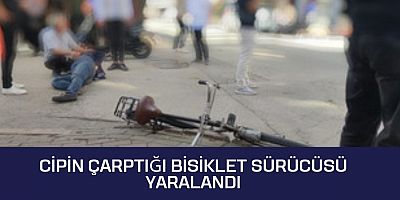 Cipin çarptığı bisiklet sürücüsü yaralandı
