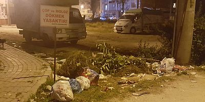 ÇÖP DÖKMEK YASAKTIR' TABELASININ ALTINA ÇÖP DÖKTÜLER