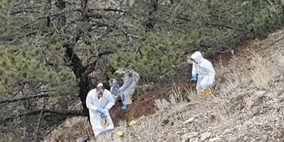 Çorum’da 6 Gündür Kayıp Olan Yaşlı Adamın Parçalanmış Cesedi Bulundu