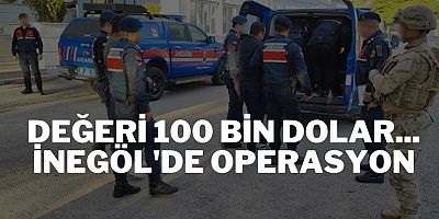 Değeri 100 bin dolar... İnegöl'de operasyon