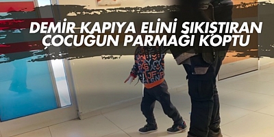 Demir kapıya elini sıkıştıran çocuğun parmağı koptu