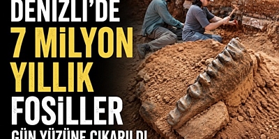 Denizli’de 7 Milyon Yıllık Fosiller Gün Yüzüne Çıkarıldı