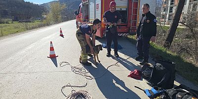 Dere Yatağına Düşen Köpek İtfaiye Ekiplerince Kurtarıldı