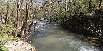 DERELERİMİZ ÇAĞLAMAYA BAŞLADI