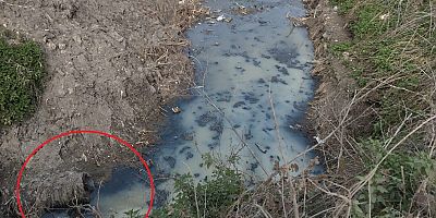 Dereye akan lağım suyu, mahalleliyi nefes alamaz hale getirdi