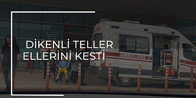 DİKENLİ TELLER ELLERİNİ KESTİ