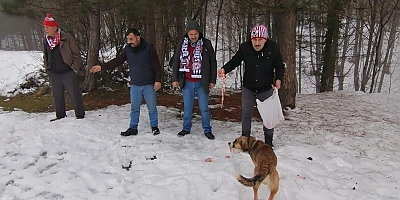 DOĞADAKİ HAYVANLARA YİYECEK BIRAKTILAR