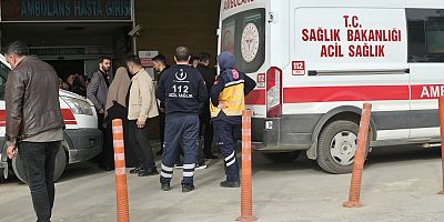 Doğadan Topladığı Otları Yedikten Sonra Fenalaştı