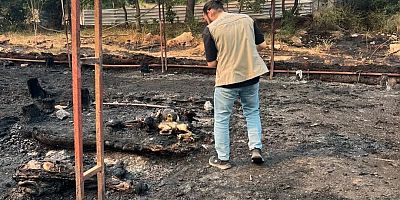Dömez Mahallesi'nde çıkan yangının ardından hasar tespiti yapıldı
