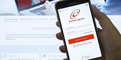 e-Devlet’in 2019’da en çok kullanılan hizmetleri açıklandı
