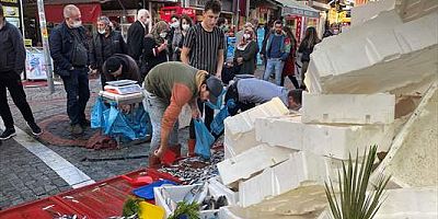 Edirne'de 5 liraya düşen hamsiye vatandaşlar yoğun ilgi gösterdi