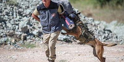 Eğitimli köpeklere entegre edilen uzaktan komuta kontrol sistemi Mehmetçiğin arazideki gözü olacak