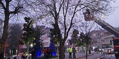 Ekipler Yavru Kedi İçin Seferber Oldu