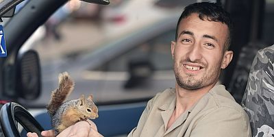 Eliyle beslediği sincap, peşini bırakmadı