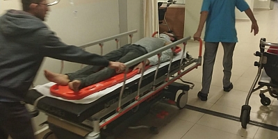 ELMA AĞACINDAN DÜŞTÜ