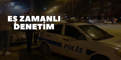 Eş zamanlı denetim