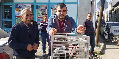 FİRARİ PAPAĞAN AĞ ATARAK YAKALANDI
