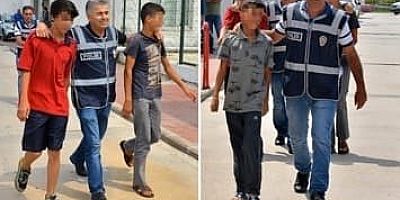 Gebe kediyi pitbulla parçalatan 3 çocuğa ev hapsi verildi