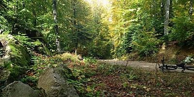 GENÇ BiSiKLETÇi öLüMDEN DöNDü