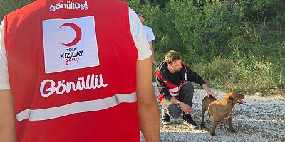 Genç Kızılay, can dostlarını unutmadı 