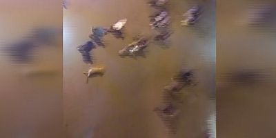 Güllü’nün düştükten hemen sonraki görüntüler ortaya çıktı