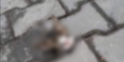 GÜVENLİK KAMERALARI GERÇEĞİ ORTAYA ÇIKARDI