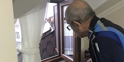 Hamidiye’de mahsur kalan kedi kurtarıldı