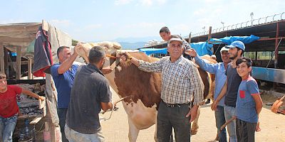 HAYVAN FİYATLARI GEÇEN YILA GÖRE DAHA UCUZ