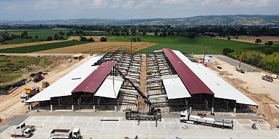 Hayvan pazarı için çalışmalar dört koldan devam ediyor