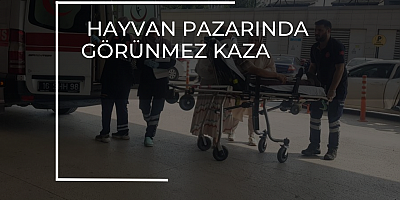 HAYVAN PAZARINDA GÖRÜNMEZ KAZA