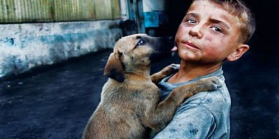 ‘Hayvanlar işkenceye maruz kalıyor’ 