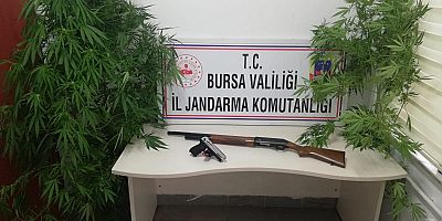 HİNT KENEVİRİ VE SİLAH ELE GEÇİRİLDİ