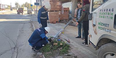 Hızını alamayan sürücü aydınlatma direğini devirdi